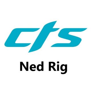CTS NED RIG
