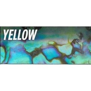 Abalone Yellow  23 mm